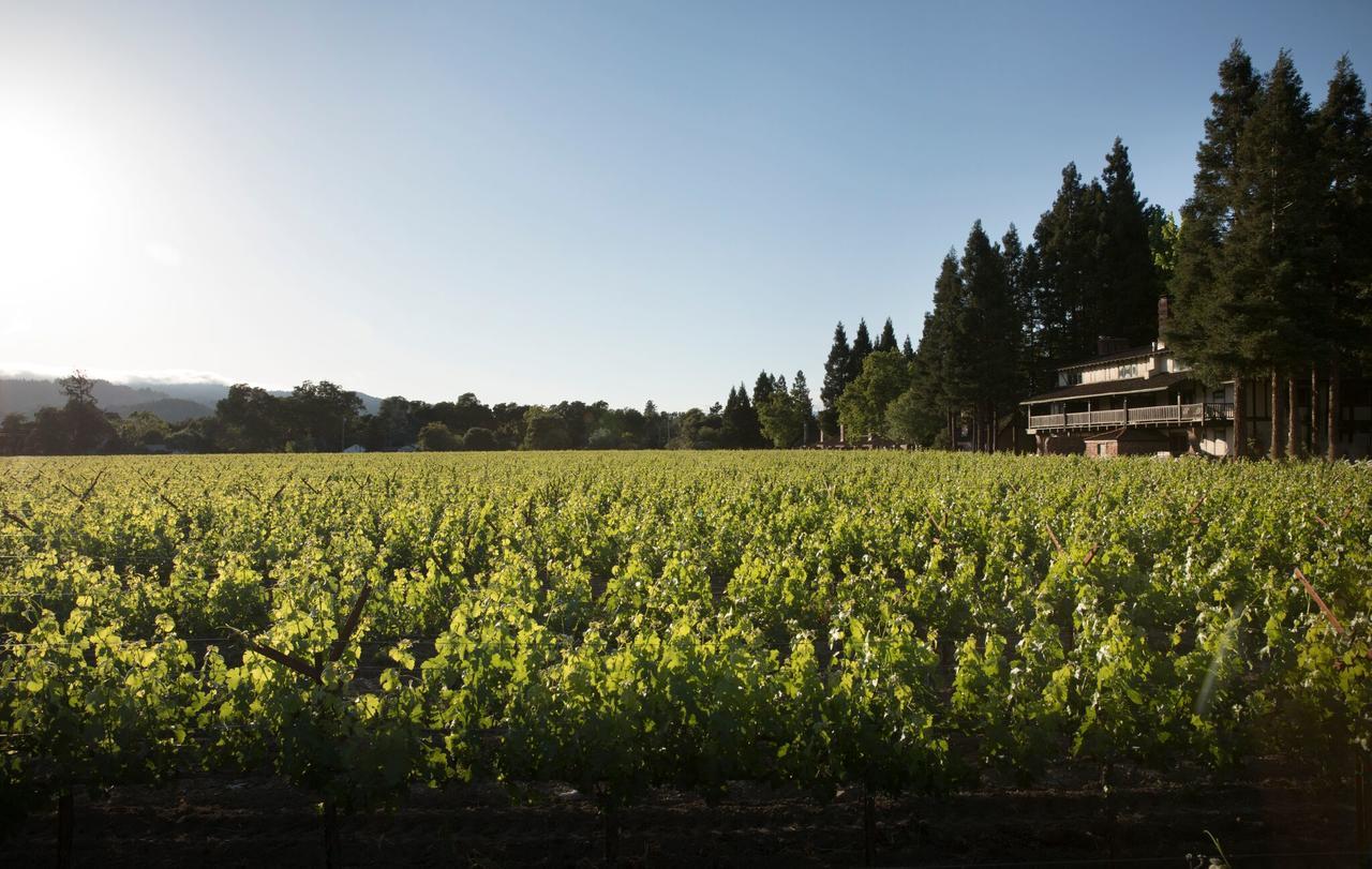 Harvest St. Helena